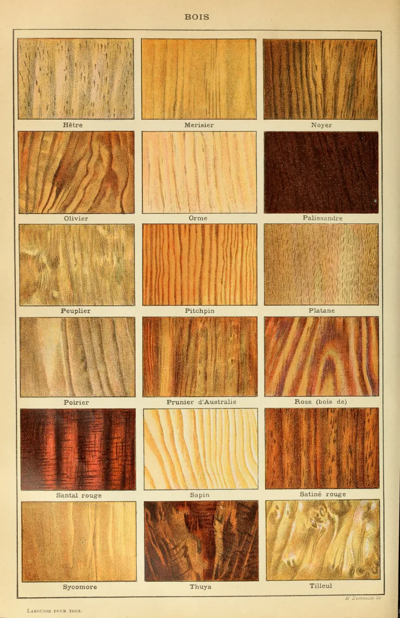 Colour plate of wood types and grain patterns, French encyclopedia, 1909
